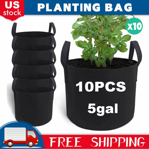 Pack gallon plant - plant, grow