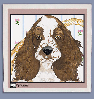 English springer dish - english, towel