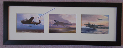 Aircraft prints 3 - aircraft,