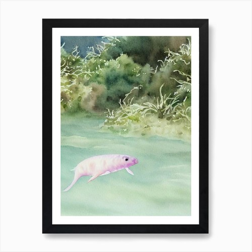 Sea pig storybook - pig, ii