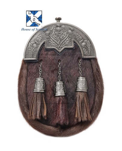 Scottish brown fur thistle - scottish,