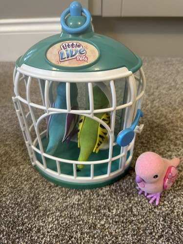 Little live pets bird cage - little, &