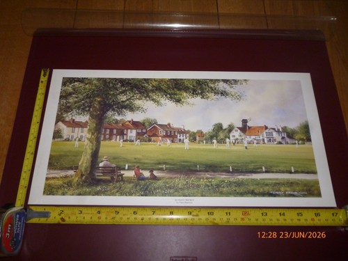 Terry harrison sunday cricket - harrison,