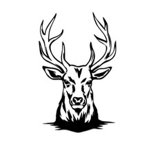 Stag Head Deer Wall Art Vinyl Decal Sticker Car Bonnet Camper Van Side Graphic