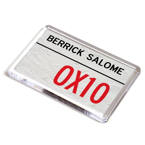 Fridge magnet berrick salome - fridge,