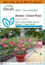 SAFLAX Garden in the Bag -