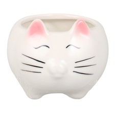 Ceramic Pots Small Fleshy Pots