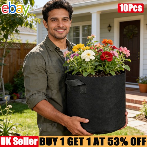 Pack large plant grow - large,