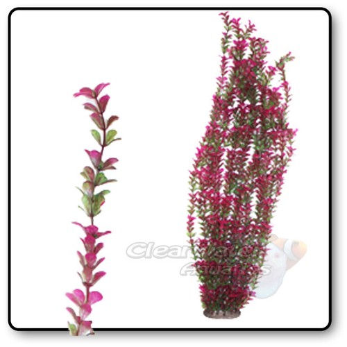 95cm tall aquarium plant - 95cm,