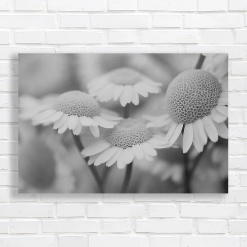 Stunning flower collection - flower,