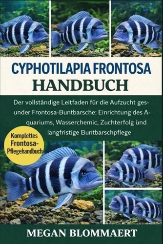 Cyphotilapia frontosa - cyphotilapia,