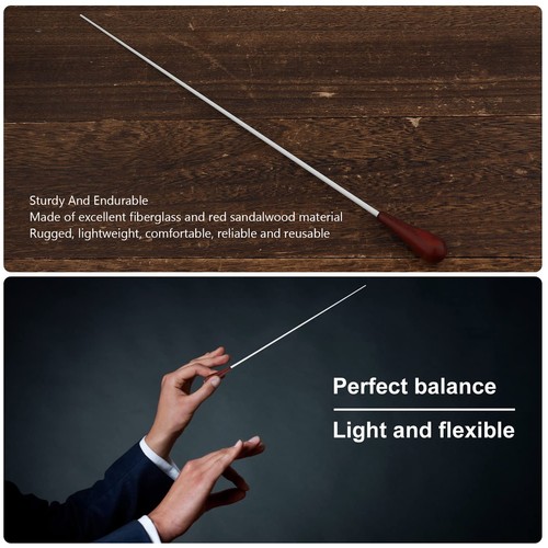 Orchestra conductor baton - orchestra,