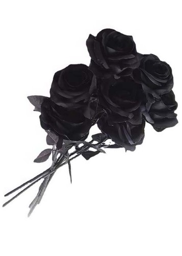 Halloween prop black fabric - halloween,