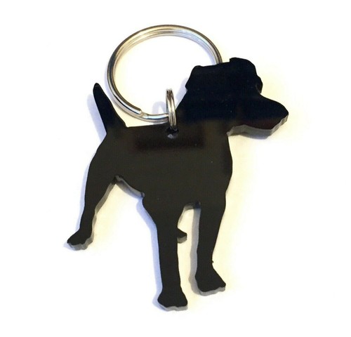Patterdale terrier dog - ,