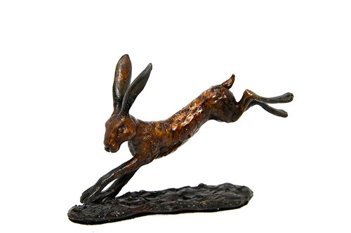 Unique bronze limited edition - bronze,