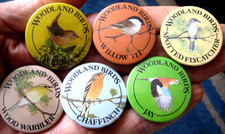RSPB WOODLAND BIRDS CAMPAIGN vintage 1980s setx6 promotional 38mm pin BADGES