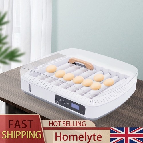 Eggs hatching incubator - hatching,