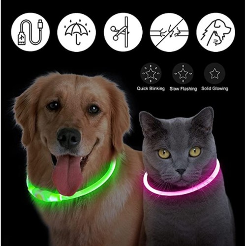Flashing led light - flashing, dog