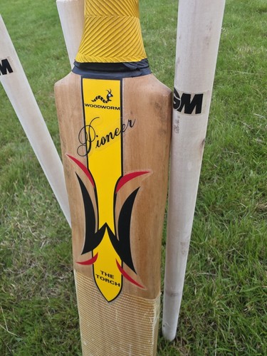 Woodworm cricket company - woodworm, the