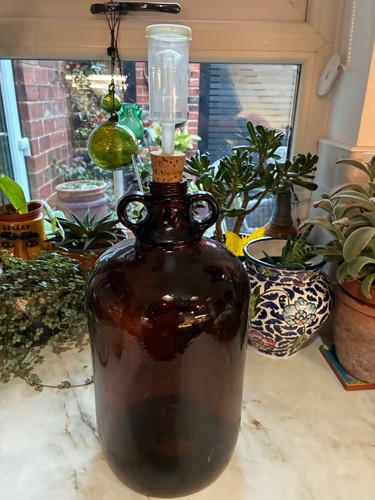 Demijohn brown for - for, mead