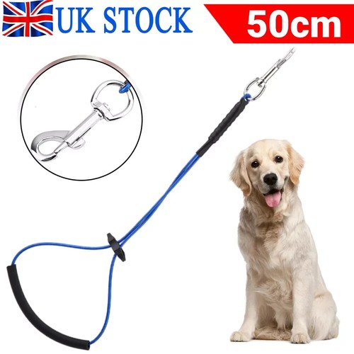 Dog grooming belly strap band - grooming,