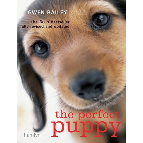 Perfect puppy take - perfect,