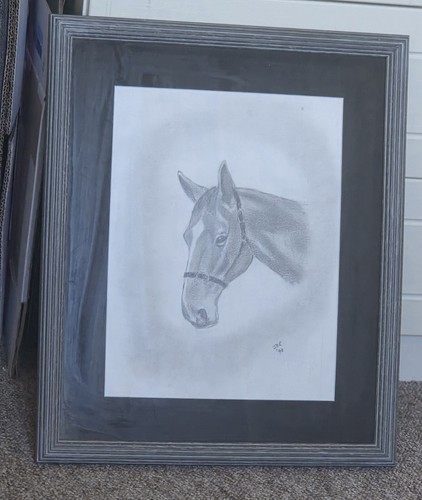 Pencil draw sketch horses - sketch, of