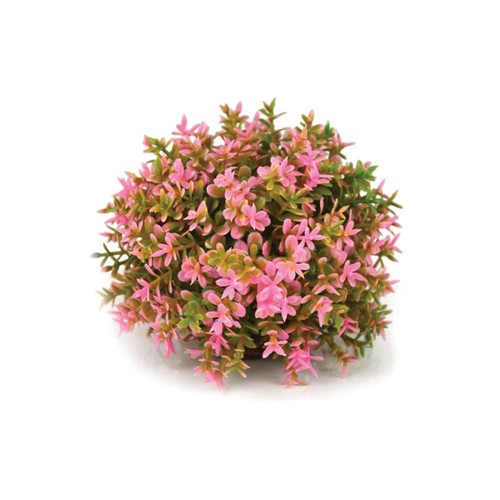 Oase biorb pink topiary - biorb,