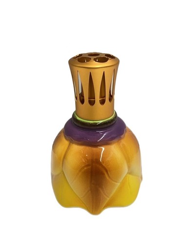 Lampe berger fragrance - berger,