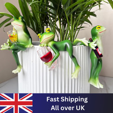 Frog Hanging Flower Pot