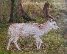 White stag oil painting on