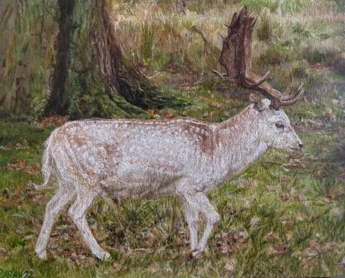 White stag oil painting - , on