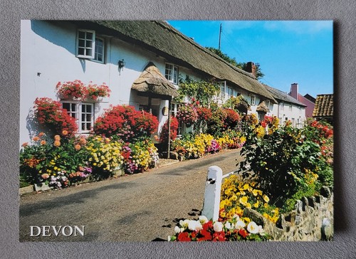 Vintage postcard unposted - vintage,