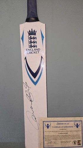 England cricket bat hand - cricket,