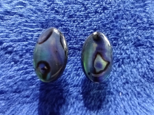 Beautiful blue green - beautiful, abalone