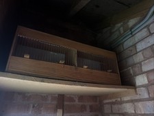 Bird breeding cage door 2 - bird,