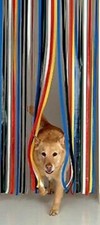 Heavy Duty Door Strip Blind