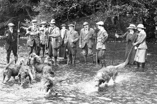 Jvf carlisle otter hounds - otter,