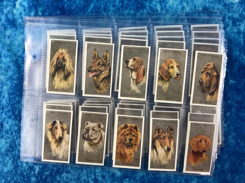 Player dog heads reprint - dog's,