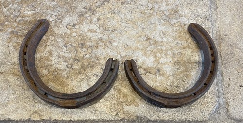 New real horse shoes - 2,