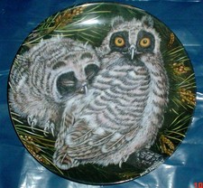 Wedgwood Collectors Plate LONG
