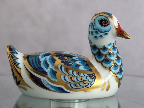 Royal crown derby - crown, 'rallidae