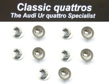 10 x HEAT SHIELD FIXING NUTS