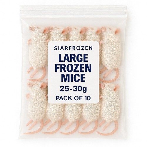 Siarfrozen large frozen - siarfrozen™,