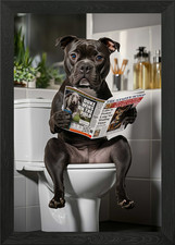 Staffy Dog Reading Newspaper