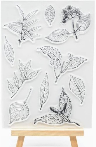 Flowers leaves clear - flowers,