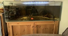 400l fish tank with custom