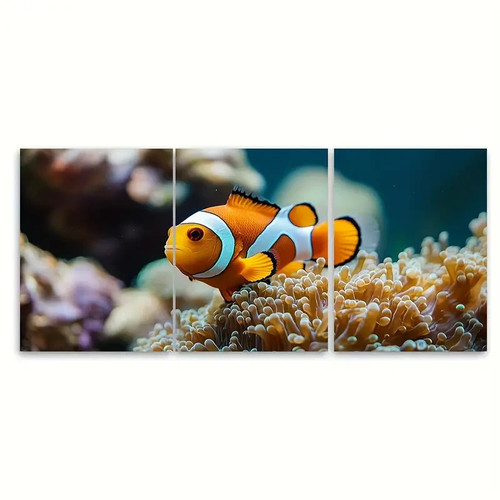 3pcs clownfish coral reef - 3pcs, sea