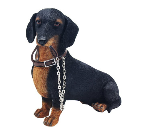 Dachshund sausage dog - dachshund,