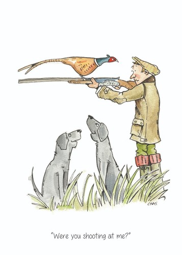Were you shooting me - you, at